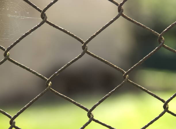istock Close up of Fence 1011367312