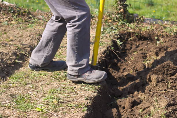 istock Low Section of Young Man Preparing Soil on the Garden 1011368944