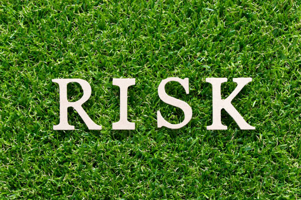 istock Wood alphabet in word risk on artificial green grass background 1011383798