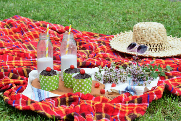 Summertime picnic setting on the green grass with chocolate muffins and milkshake.
