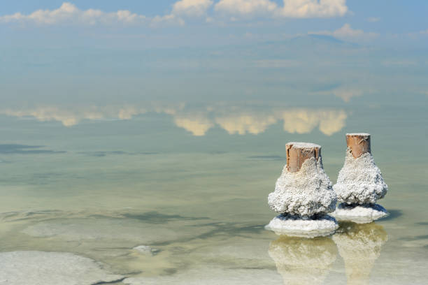 drewniane filary ze skrystalizowanym solą na jeziorze słonym urmia. iran - lake urmia zdjęcia i obrazy z banku zdjęć