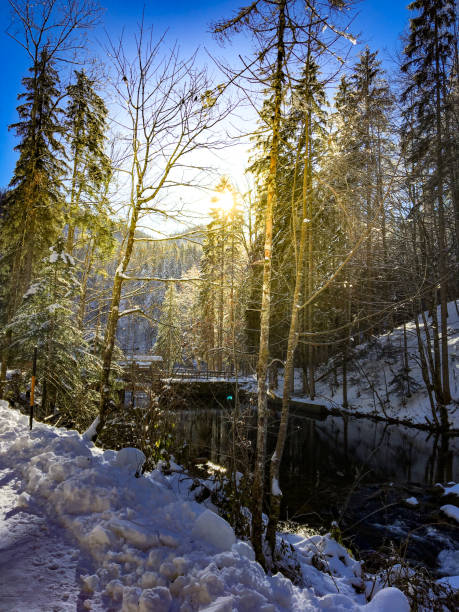 istock View of Beautiful Snowy Winter Landscape 1011403642
