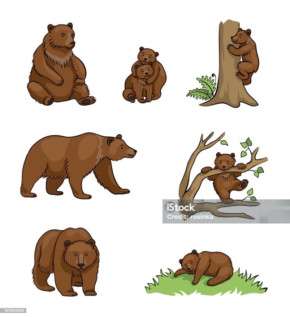 Brown bears - vector illustration Brown bears - udults and cubs. Vector illustration. EPS8 Bear stock vector