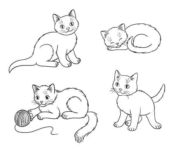 ilustraciones, imágenes clip art, dibujos animados e iconos de stock de cuatro gatitos diferentes en los contornos - ilustración vectorial - página de libro para colorear técnica de ilustración