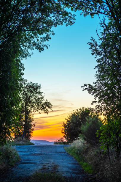 Magical summer landscape at sunset.\nHigh dynamic gives the scenery an enchanted atmosphere.