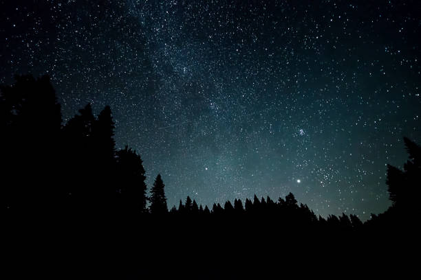 istock Perseid Meteor Shower and stars 1011419630