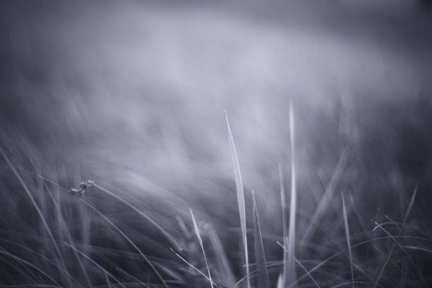 istock Monochrome abstract background. Modern art, poster for interior design 1011422976