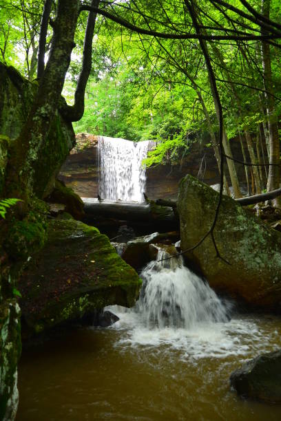istock Cucumber Falls, Ohiopyle State Park 1011422988