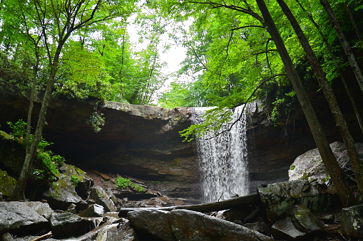 After days of rain, the waterfall flows vigorously in Ohiopyle State Park, Pennsylvania.