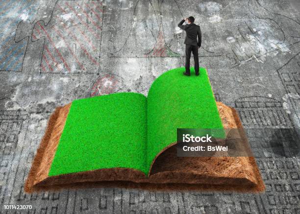 Businessman Standing On Open Book Of Grass And Soil Texture Stock Photo - Download Image Now