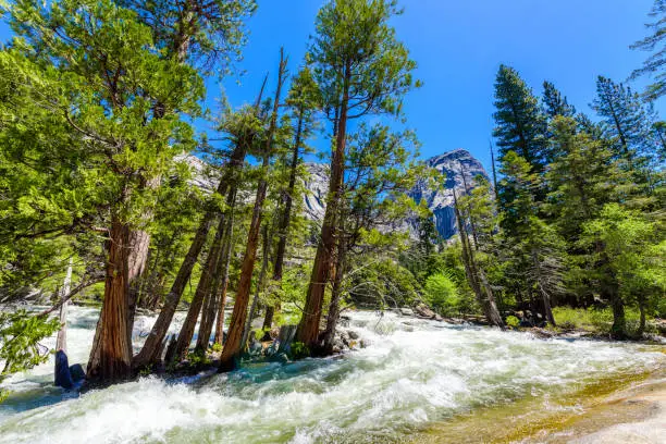 Merced River landscape in Yosemite National Park. Whitewater Rapids. California, USA.