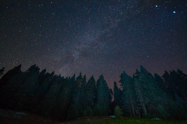 istock Perseid Meteor Shower and stars 1011425472