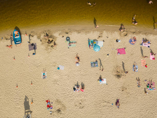 istock People enjoying the beach and swimming 1011433220