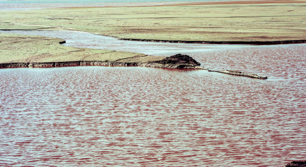 istock Production waste is accumulated in water 1011440550