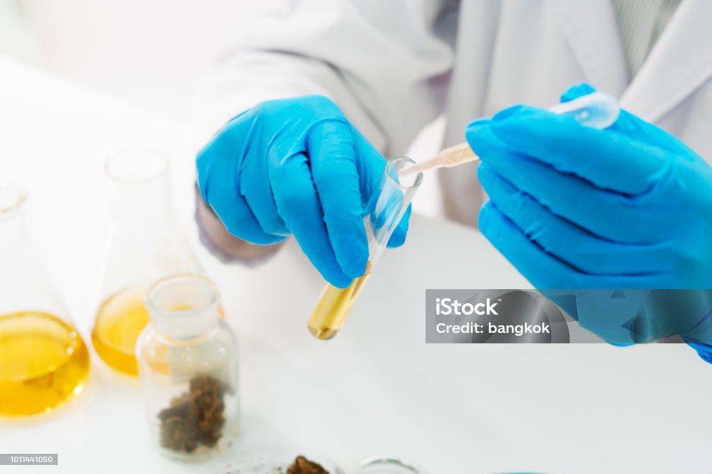 Ricerca sulla marijuana in laboratorio - Foto stock royalty-free di Laboratorio