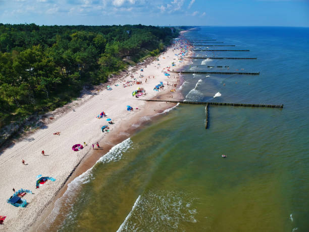 istock Aerial view on sand beach, breakwaters, forest and sunbathers 1011442226