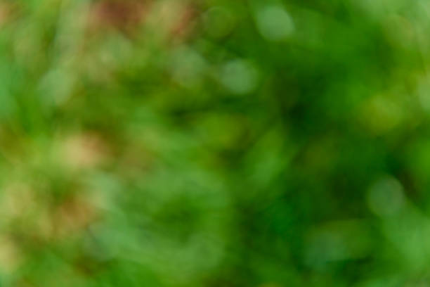 istock Natural and abstract blurred green background. Eco concept 1011476400