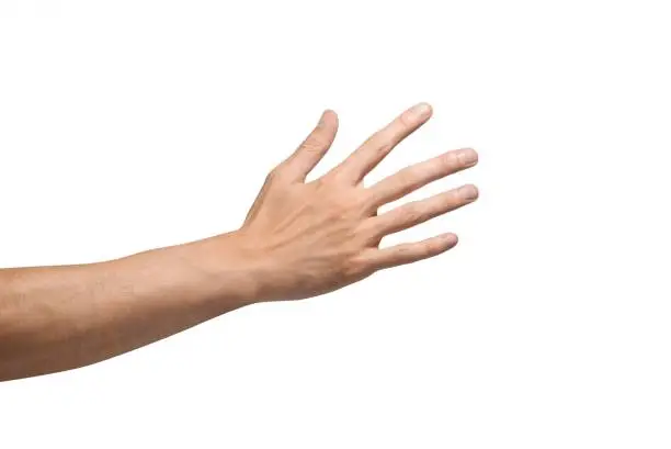 Photo of Hand Gestures