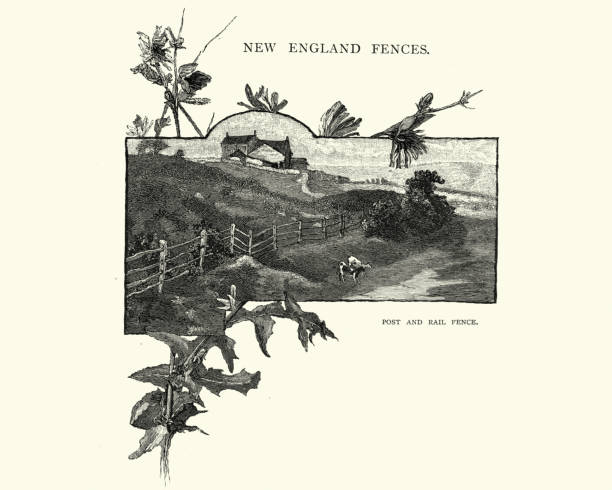 Vintage engraving of Post and Rail Fence on a New England farm, USA, 19th Century