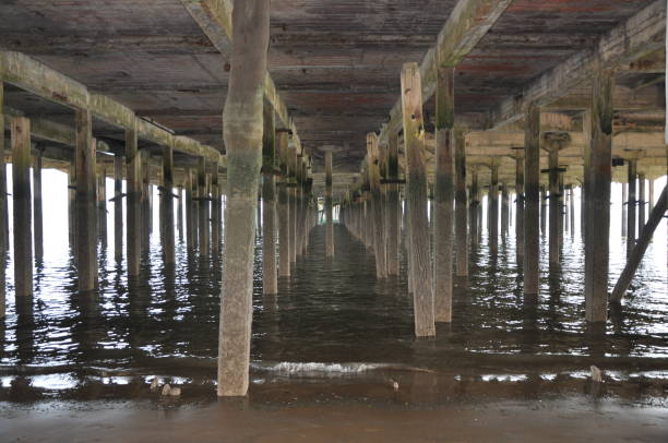 istock Supporting Pillars Underneath the Pier at Walton on the Naze 1011486810