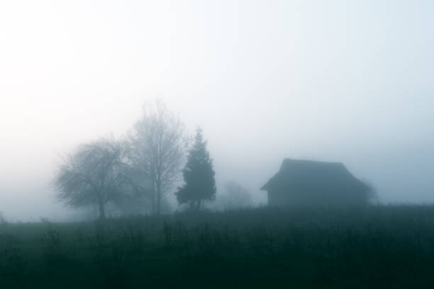 istock Alone house on foggy meadow 1011490884