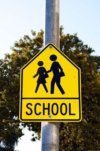 School Sign on a street with green tree background