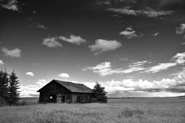 istock Old Abandoned Rural Farmhouse 1011493846