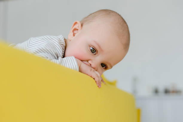 istock adorable infant baby boy on yellow sofa 1011494236