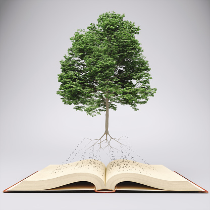 Tree with roots on an open old book.