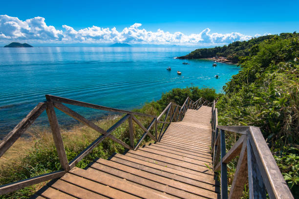 Wooden Stairs Down to the Ocean