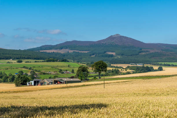 Bennachie and Farmland stock photo