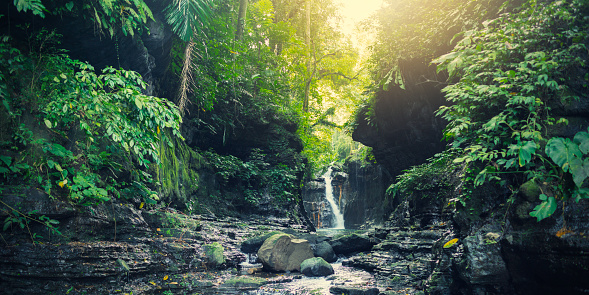 A small waterfall and stream in a tropical forest environment. Luzon, Philippines.