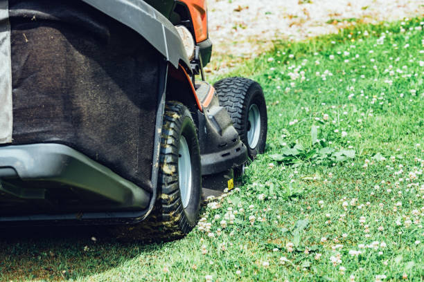 istock Woman cutting grass with a ride-on lawnmower 1011517980