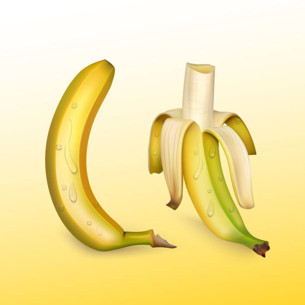 ilustrações, clipart, desenhos animados e ícones de bananas maduras no fundo brilhante, ilustração vetorial realista - 3504