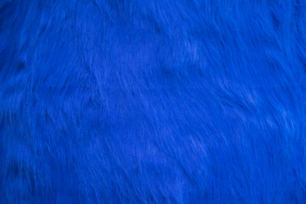 istock Texture of blue fur, bright fluffy background 1011528368