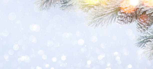 istock Christmas holiday snow background 1011534268