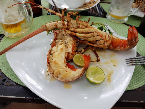 istock Lobster on a plate with lemon lime. Cooked on the grill 1011550558