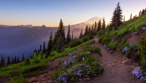 Naches Peak Loop trail at sunset. Naches Peak Loop trail is one of the most popular in Mt Rainier NP, Chinook Pass. pacific northwest stock pictures, royalty-free photos & images