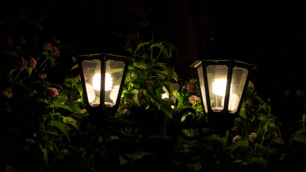 Vintage Lamp In Garden