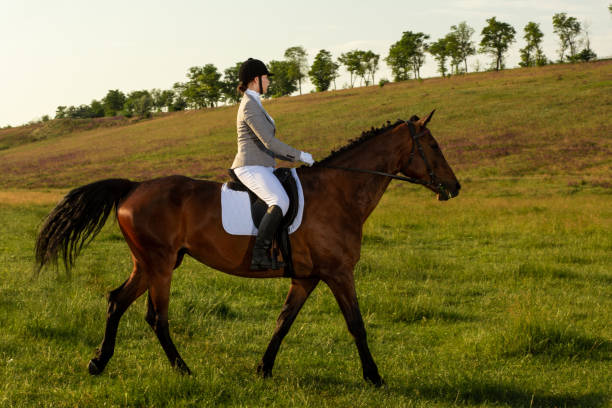 istock Young woman riding a horse on the green field 1011574708