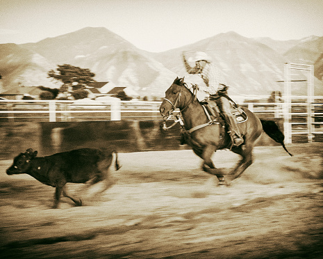 A cowboy on a horse practices calf roping in Utah, USA. Vintage sepia monochrome toned.