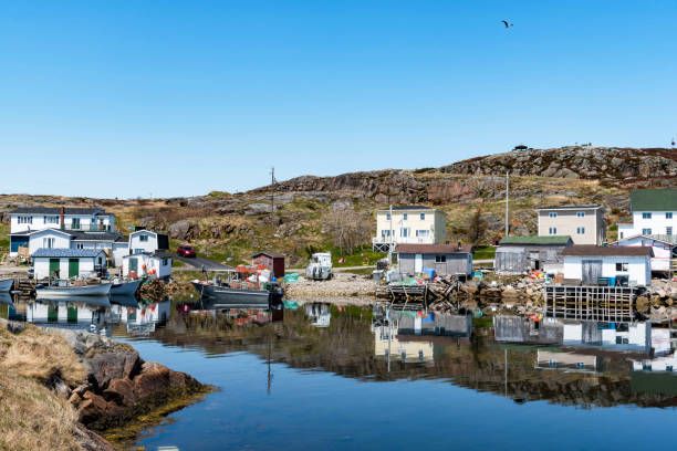 istock Greenspond Island 1011580874