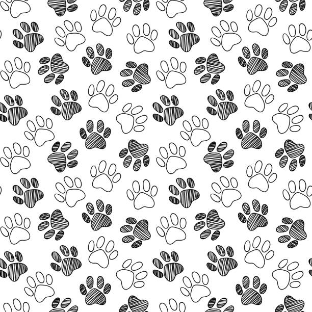 Monochrome black and white dog cat pet animal paw foot hand drawn ink sketch seamless pattern texture background vector Monochrome black and white dog cat pet animal paw foot hand drawn ink sketch seamless pattern texture background vector. animal foot stock illustrations