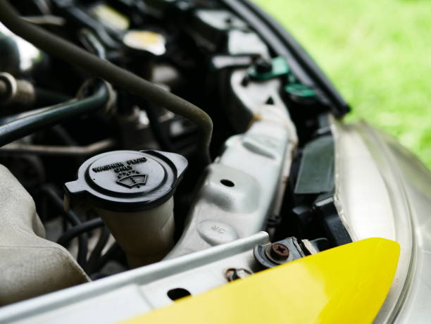 istock Cap of car radiator. 1011589904