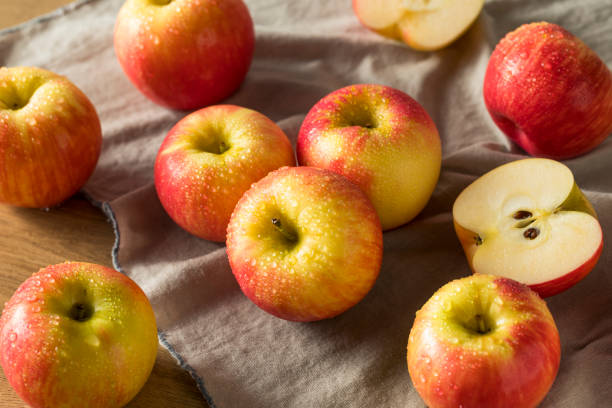 raw red organic honeycrisp apples - wet apple imagens e fotografias de stock