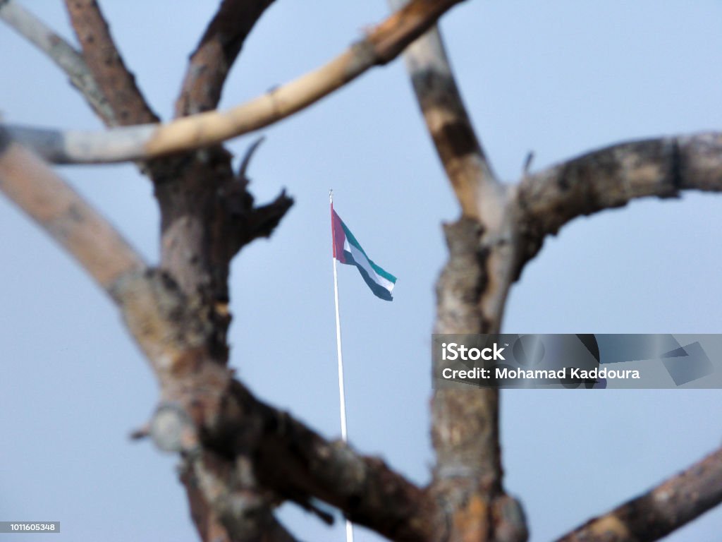 The United Arab Emirates flag waving in display behind tree branches Abu Dhabi Stock Photo