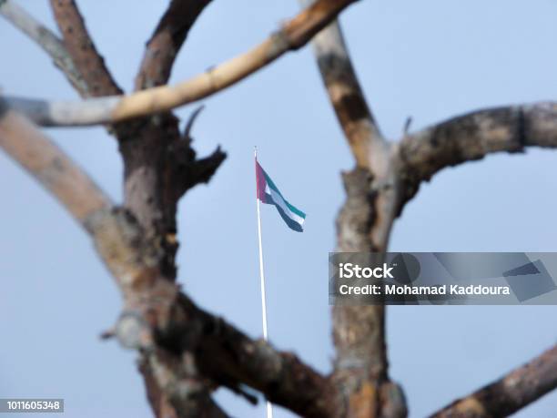 The United Arab Emirates Flag Waving In Display Behind Tree Branches Stock Photo - Download Image Now