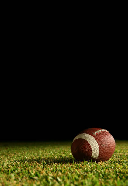 American Football on a grass field in the stadium lights.  Monday night football!