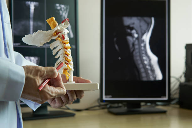 un neurochirurgien pointant sur le modèle de la colonne cervicale - cou humain photos et images de collection