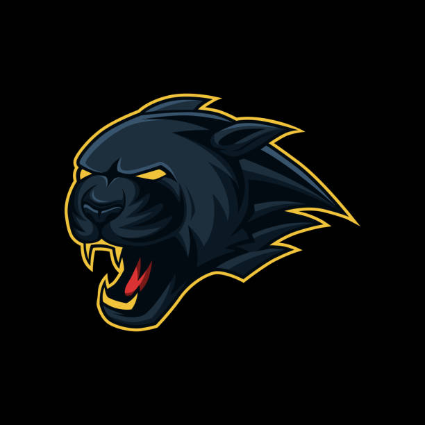 ilustrações, clipart, desenhos animados e ícones de mascote do principal símbolo de pantera negra - tiger roaring danger power